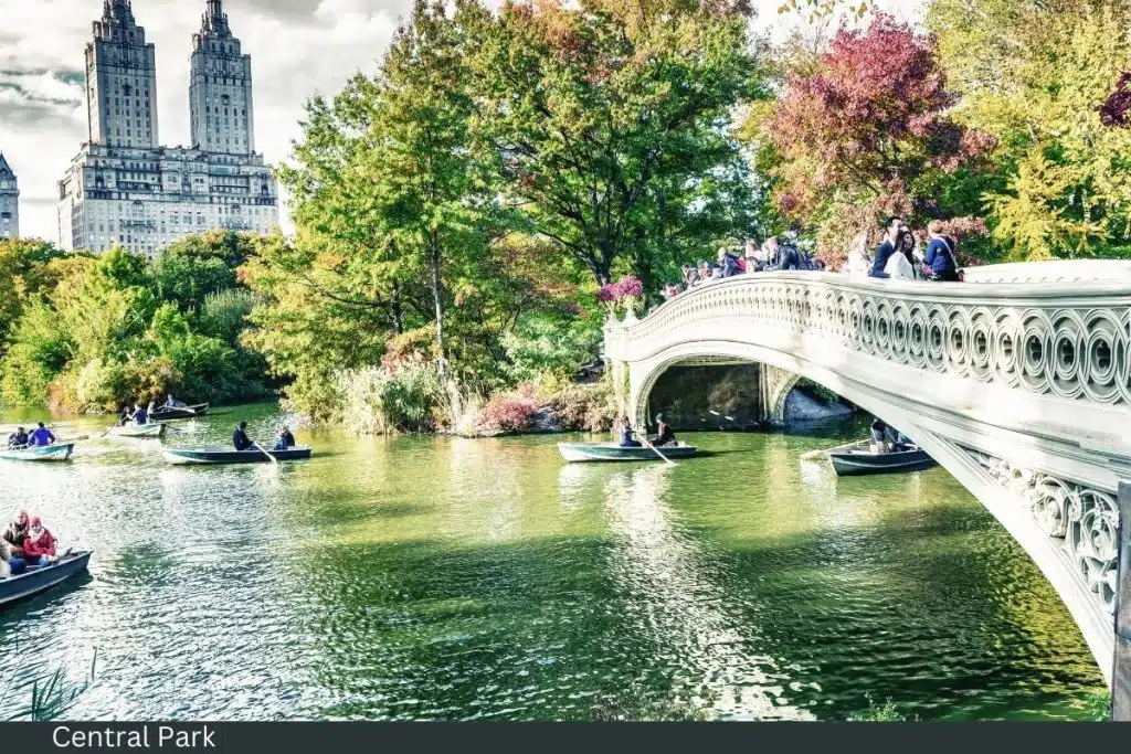 Central Park, NY