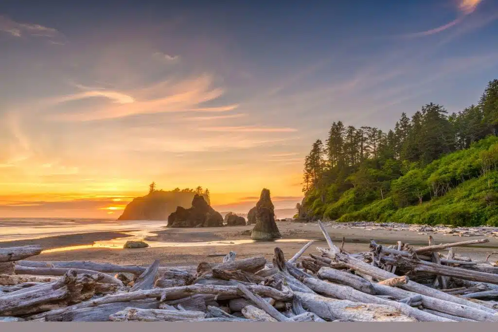 Olympic National Park, Washington